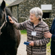 Fell Ponies Dementia Londridge