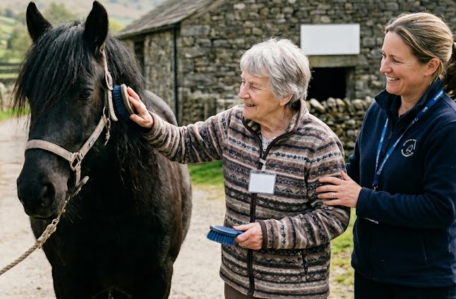Fell Ponies Dementia Londridge